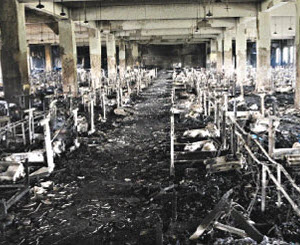 Walmart Ethical Sourcing