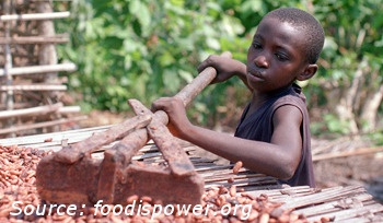 Is Your Chocolate Made by Child Slaves