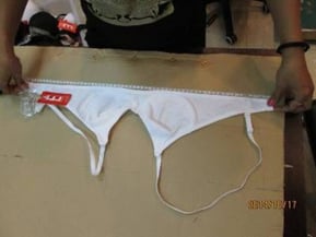 lingerie-inspection