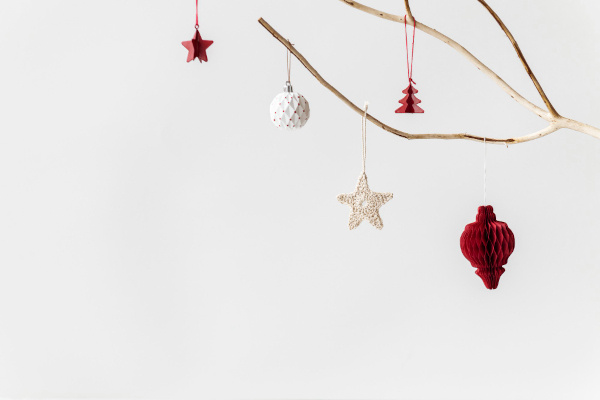 Different kinds of hanging ornaments are hang on a branch