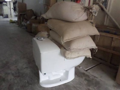 toilet inspection