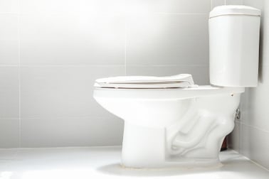 toilet inspection