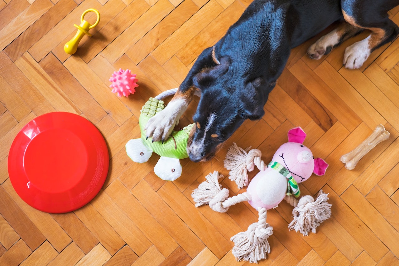 pet toy quality control