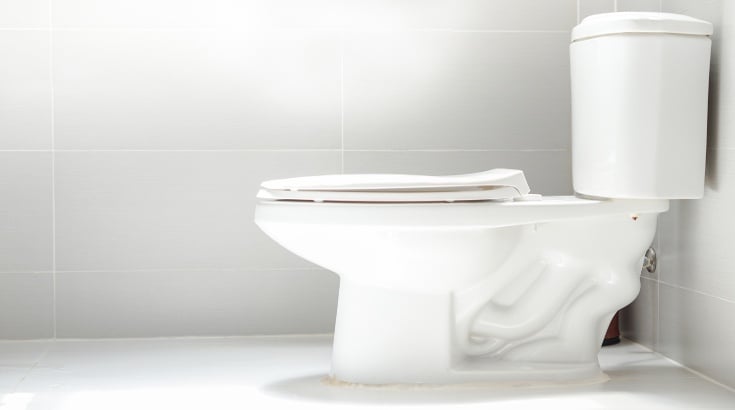toilet inspection featured.jpg